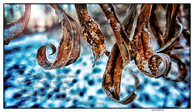 emanphoto_robertfrost