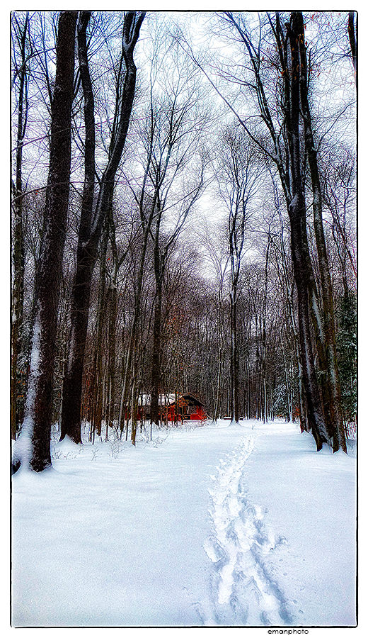 emanphoto_winter_008