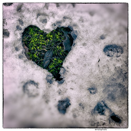 emanphoto_2014.12.20