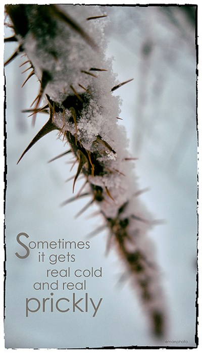 emanphoto_cold_2015.01.09