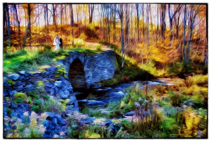 DSCF0892_Stone_Bridge_Van Gogh_Nik_1920