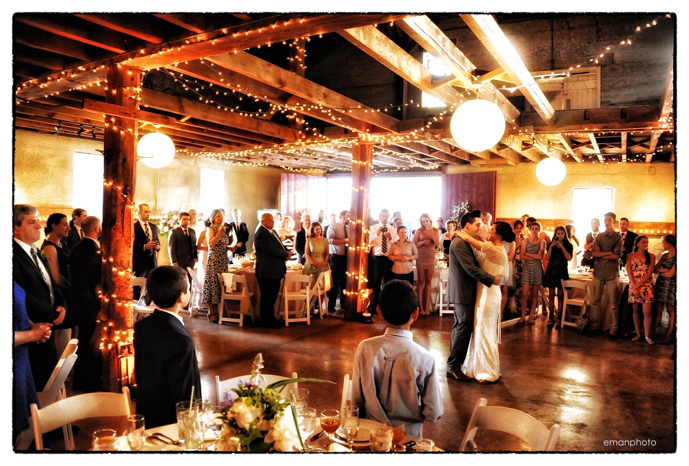 DSC_3667_First_Dance_1920