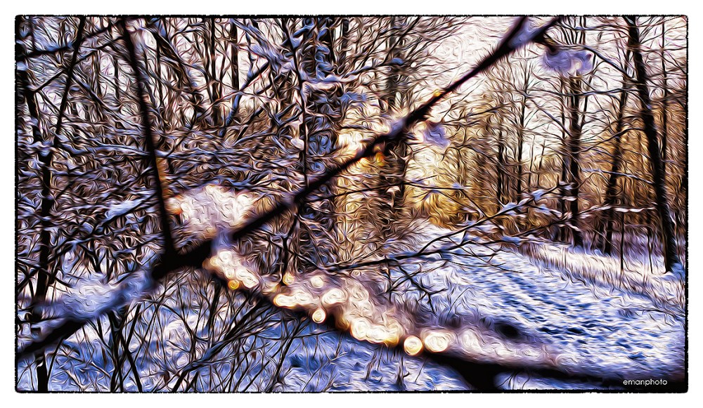 P1240616_Enchanted_Forest_w