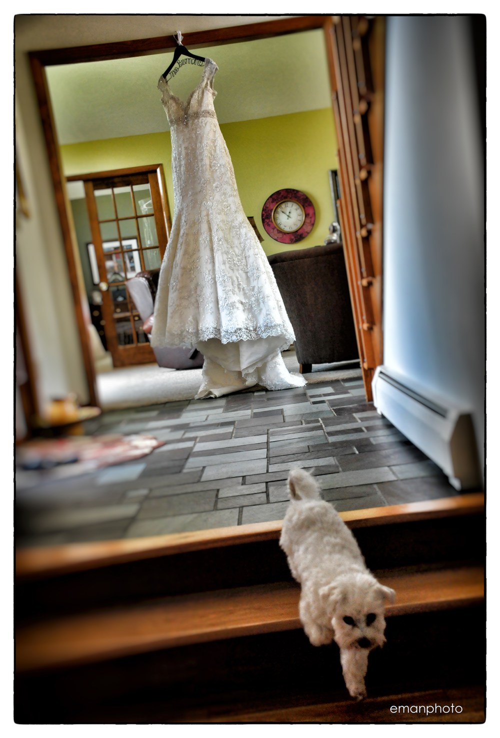 DSC_1566_Pooch & Dress_BB