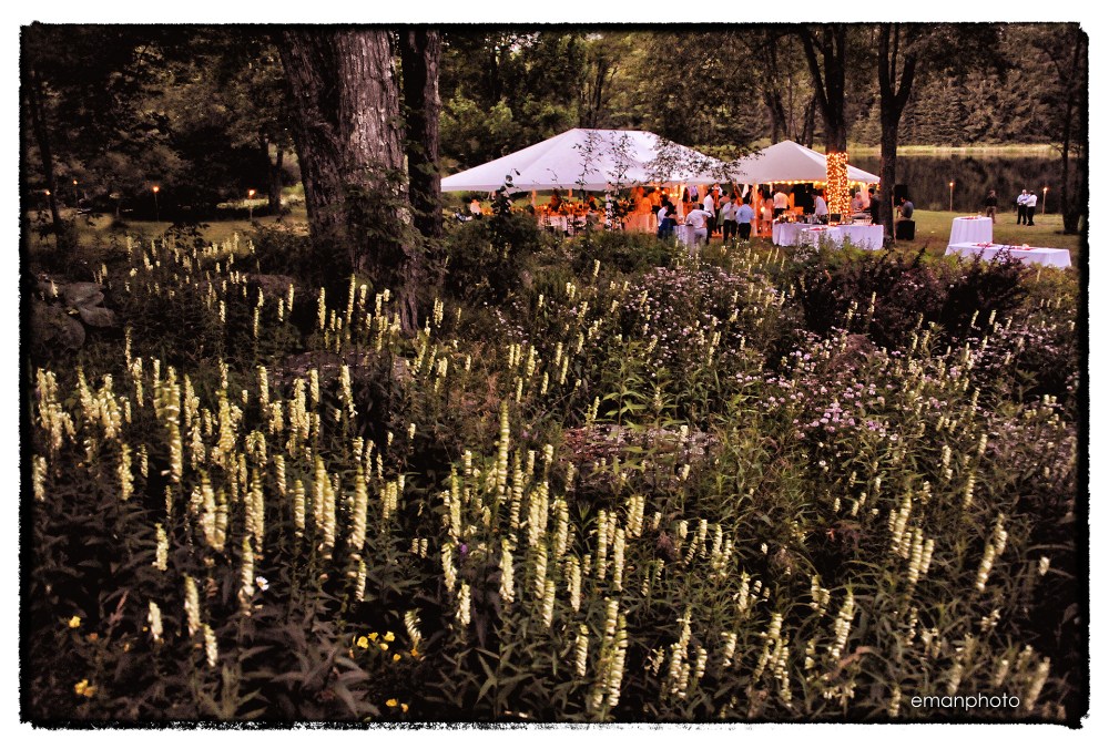 dsc_3310_dusk_around_tent_bb