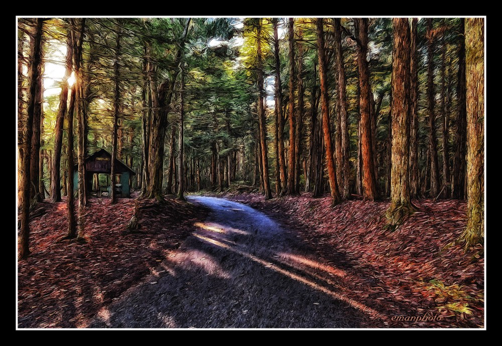 DSC_1986_Pathway_Lodge_Borders