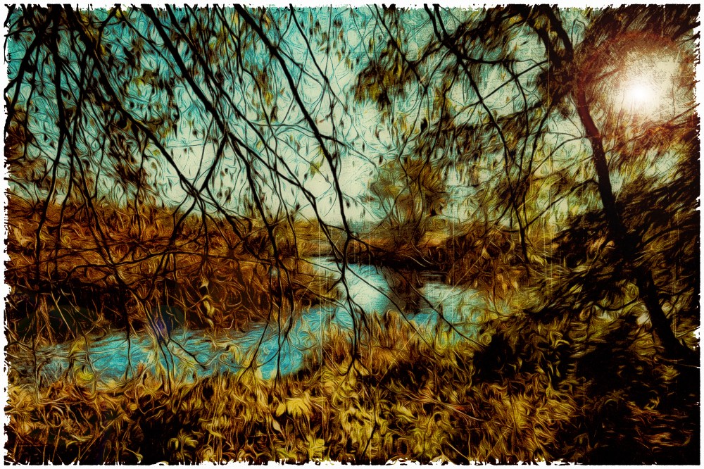 DSC_1993_That_Spot_on_The_River_Fall 2017