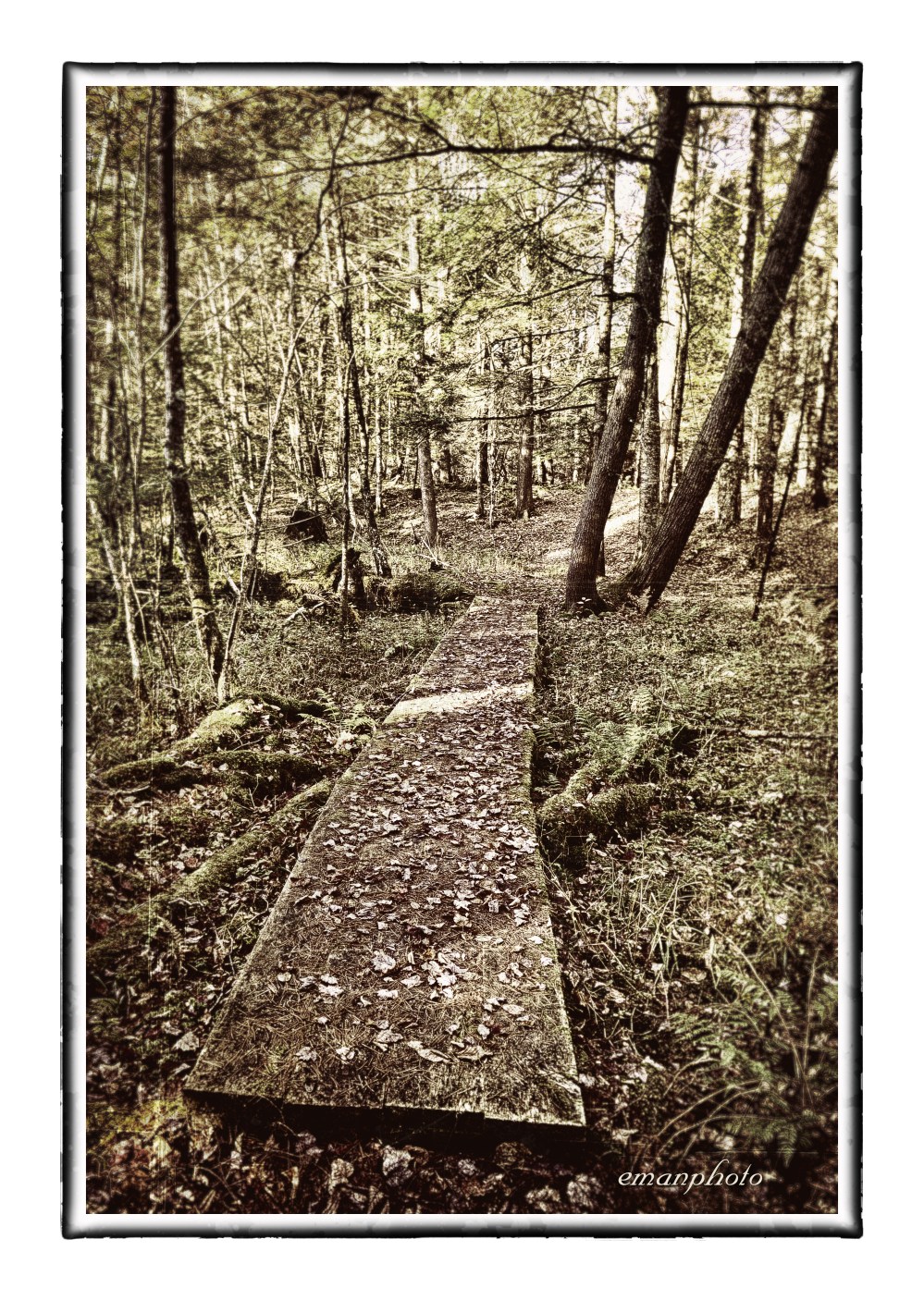 DSC_2097_La_Passerelle_Borders