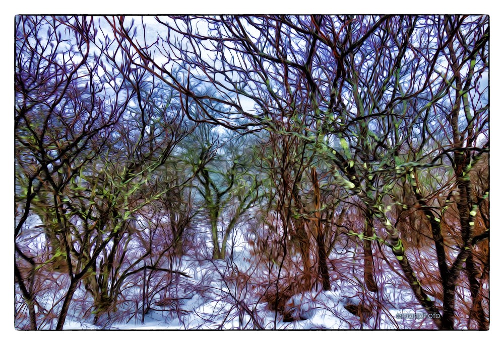 DSC00065_Confusion_Borders