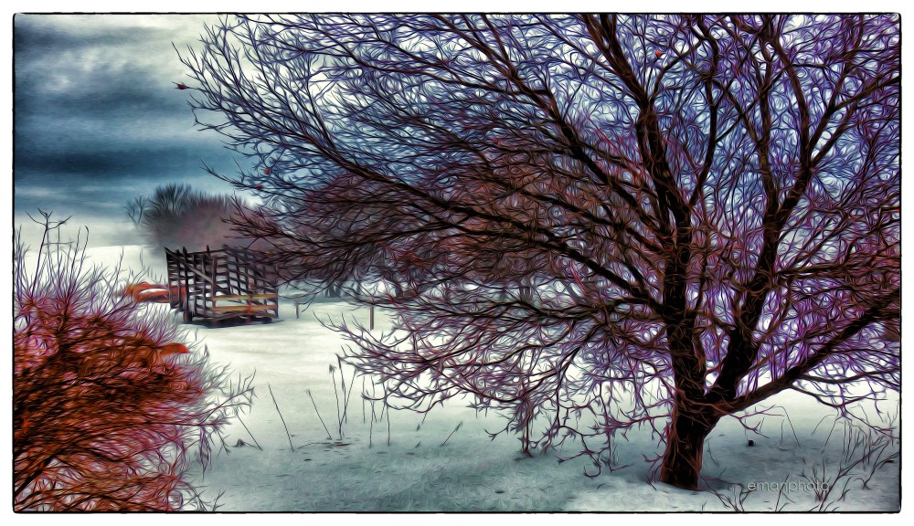 DSC00084_La_Voiture_De_Foin_Borders