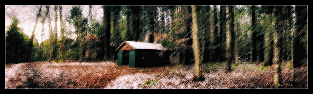 DSC00979_Frank_Harden_Pavilion_Borders