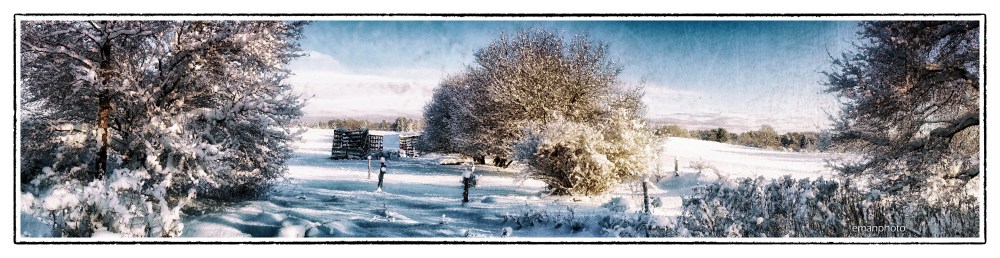 DSC01701_Voitures_de_Foin_Dans_la_Neige_Borders