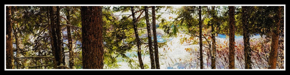 DSC01931_Silence & The Snow_Oil_Paint_Borders.jpg