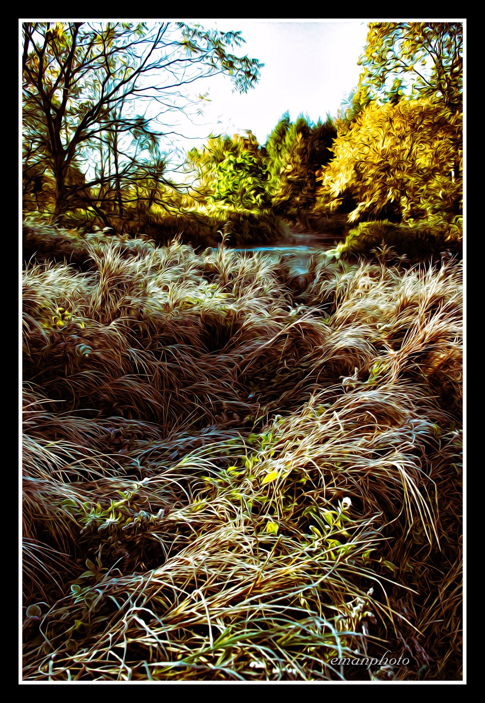 DSCF0013_Morning_Chill