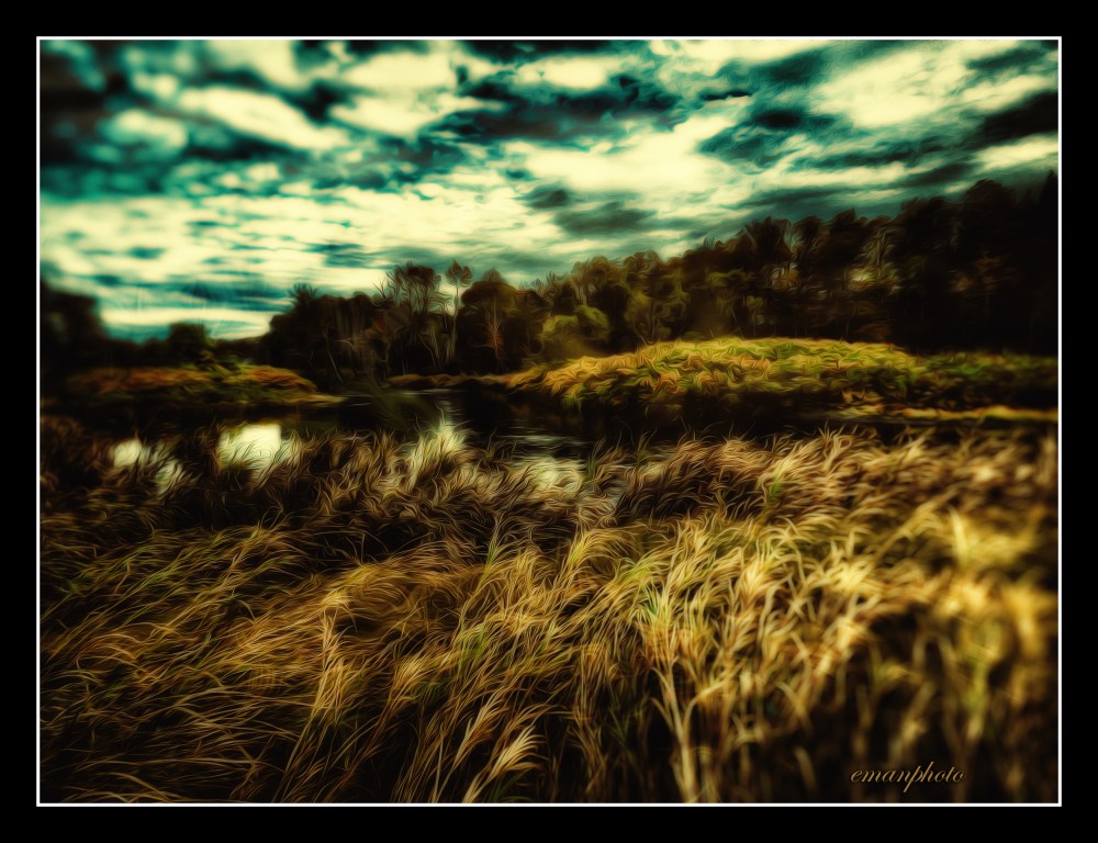 P109021_Hautes_Herbes_Couchées_Vers_La_Rivière_Midnight