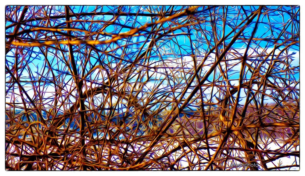 P1030554_La_Complèxité_de_la_Vie