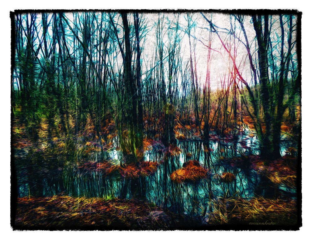 P1040236_Beaver_Land_Borders