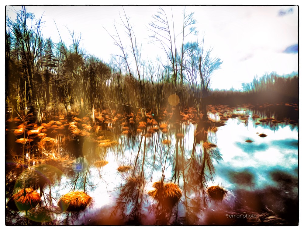 P1040240_La_Tourbière_Borders