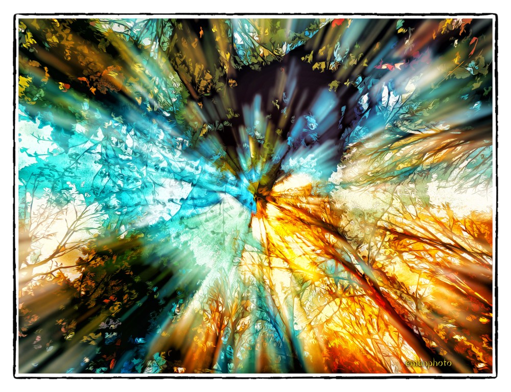 P1040372_Celestial_Whispers_Borders