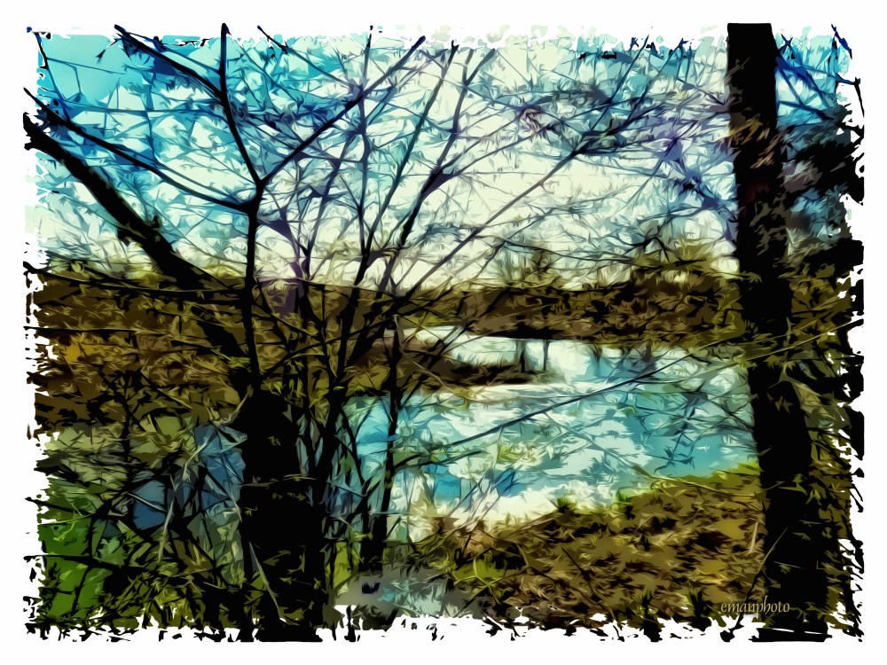 P1040317_Les_Arbres_La Rivière_Borders