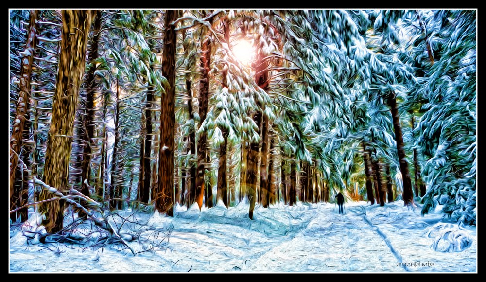 P1040506_Cerenna_Skiing_in_Forest Park