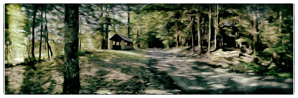 P1050410_Long_House_Pavilion_Forest_Park