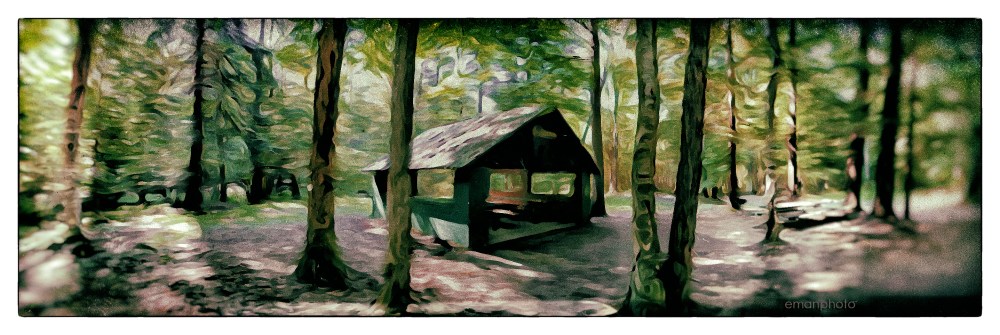 P1050439_The_Lady-Slipper_Forest_Park