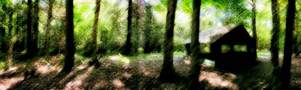 P1050440_The_Lady_Slipper_Pano