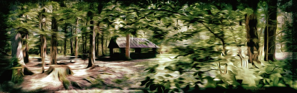 P1050889_The_Lady-Slipper_Forest_Park