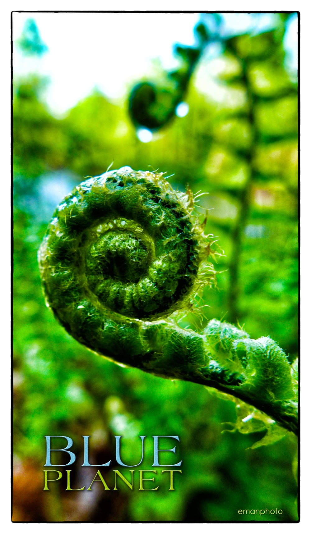 P1120599_Blue_Planet